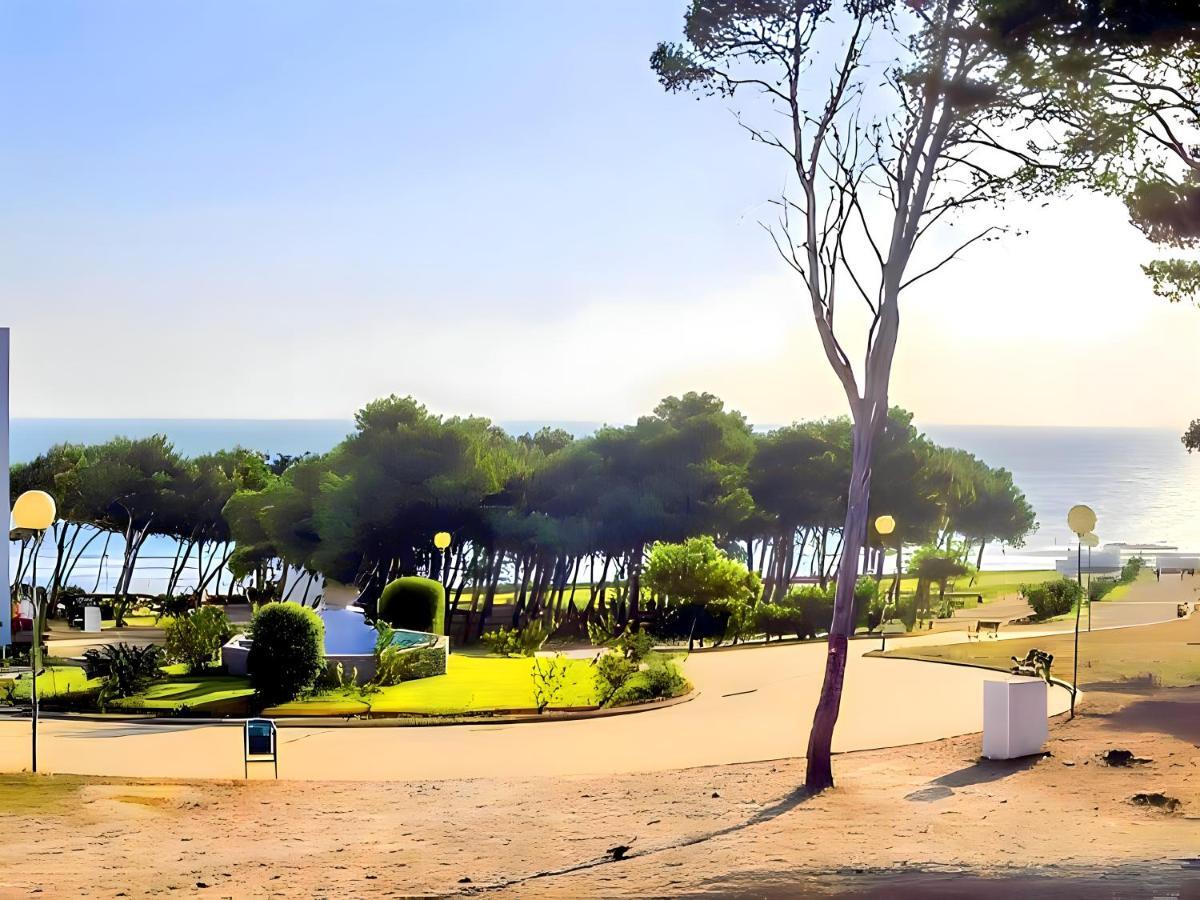 Apartamento Junto El Mar Con Piscina Conil De La Frontera Exteriér fotografie